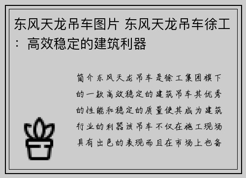 东风天龙吊车图片 东风天龙吊车徐工：高效稳定的建筑利器