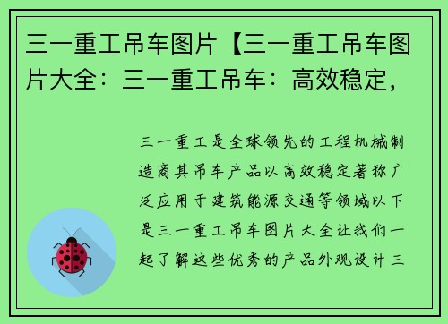 三一重工吊车图片【三一重工吊车图片大全：三一重工吊车：高效稳定，助力工程建设】